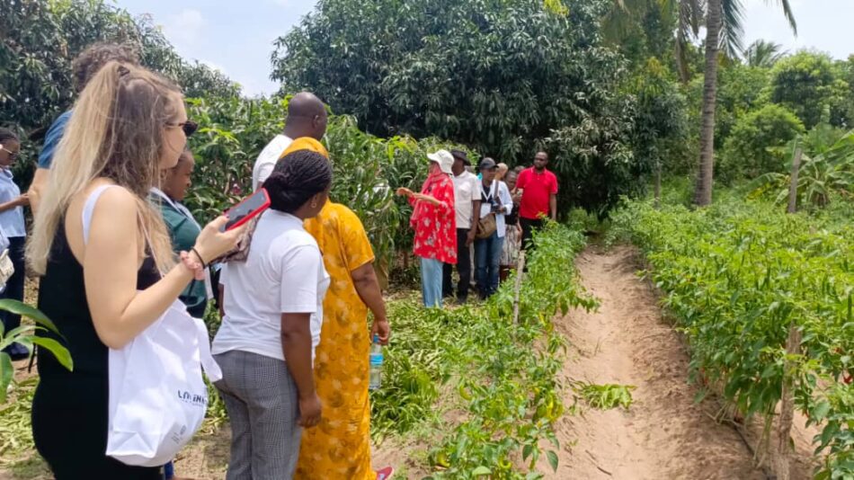 Training in a Demo farm in Dar es Salaam.
