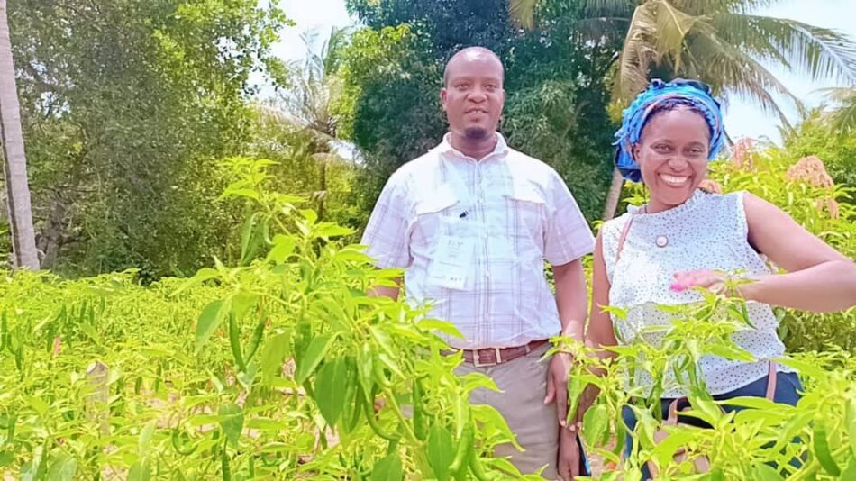 Sharing Farm Experience